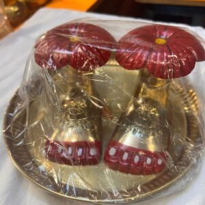 MAA TARA PADUKA/CHARAN